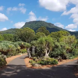 Wollongong Botanic Garden - Wollongong