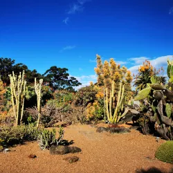 Wollongong Botanic Garden - Wollongong