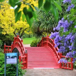 Wollongong Botanic Garden - Wollongong
