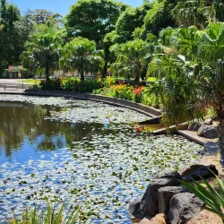 Wollongong Botanic Garden - Wollongong