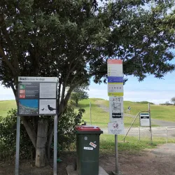 Wollongong City Beach - Wollongong
