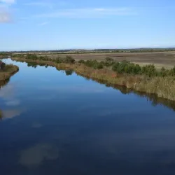 Bass Coast Rail Trail - Wonthaggi