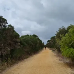 Bass Coast Rail Trail - Wonthaggi