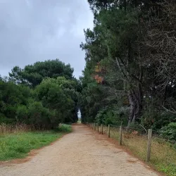 Bass Coast Rail Trail - Wonthaggi