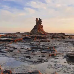 Bunurong Marine Park - Wonthaggi
