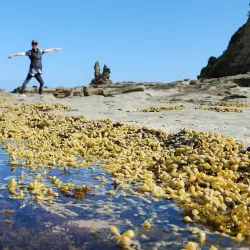 Bunurong Marine Park - Wonthaggi
