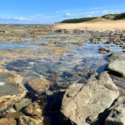 Kilcunda Coastal Reserve - Wonthaggi