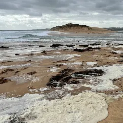Kilcunda Coastal Reserve - Wonthaggi