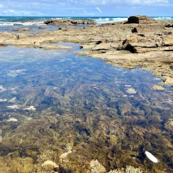 Kilcunda Coastal Reserve - Wonthaggi