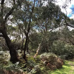 Wonthaggi Beach - Wonthaggi