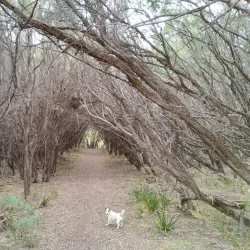 Wonthaggi Beach - Wonthaggi