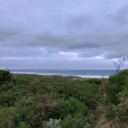 Wonthaggi Beach - Wonthaggi