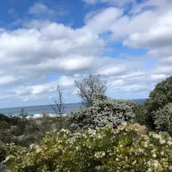 Wonthaggi Beach - Wonthaggi