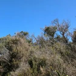 Wonthaggi Beach - Wonthaggi