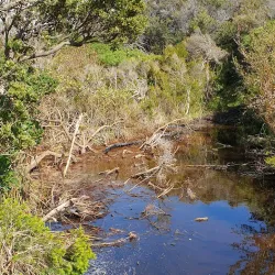 Wonthaggi Beach - Wonthaggi