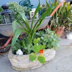 Wonthaggi Farmers Market - Wonthaggi