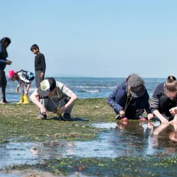 Point Cook Coastal Park - Wyndham