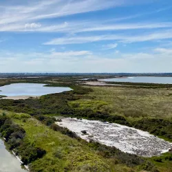 Point Cook Coastal Park - Wyndham