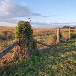 Point Cook Coastal Park - Wyndham
