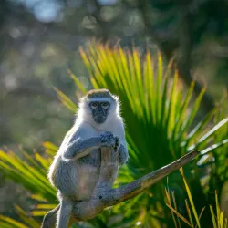 Werribee Open Range Zoo - Wyndham