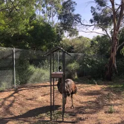 Werribee Open Range Zoo - Wyndham