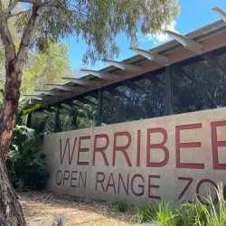 Werribee Open Range Zoo - Wyndham