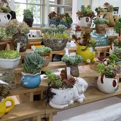 Wyndham City Farmers Market - Wyndham