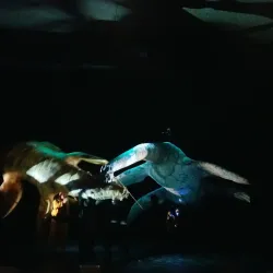 Wyndham Cultural Centre - Wyndham