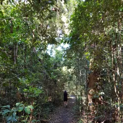 Iluka Nature Reserve - Yamba NSW