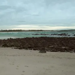 Iluka Nature Reserve - Yamba NSW
