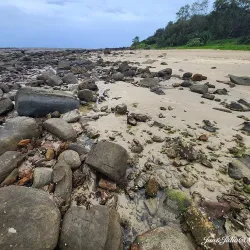 Iluka Nature Reserve - Yamba NSW