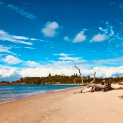 Whiting Beach - Yamba NSW