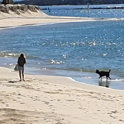 Whiting Beach - Yamba NSW