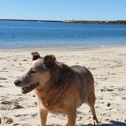 Whiting Beach - Yamba NSW
