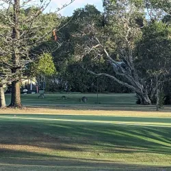 Yamba Golf Club - Yamba NSW