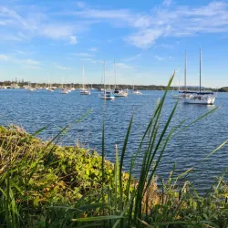 Yamba Markets - Yamba NSW