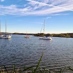 Yamba Markets - Yamba NSW