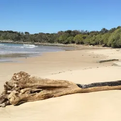 Yamba Ocean Pool - Yamba NSW