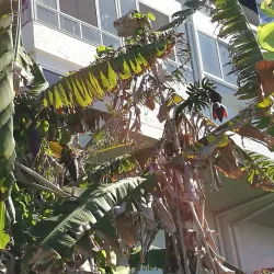 Yamba Ocean Pool - Yamba NSW