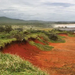 Yuraygir National Park - Yamba NSW
