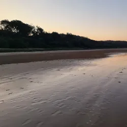 Yuraygir National Park - Yamba NSW