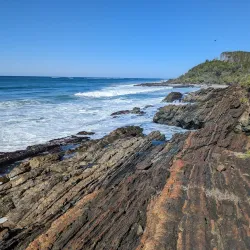 Yuraygir National Park - Yamba NSW