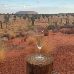 Field of Light Art Installation - Yulara