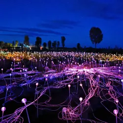 Field of Light Art Installation - Yulara