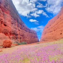 Kata Tjuta (The Olgas) - Yulara