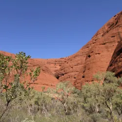 Kata Tjuta (The Olgas) - Yulara