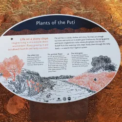 Kata Tjuta (The Olgas) - Yulara