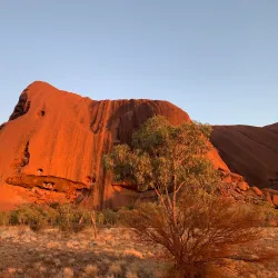 Kuniya Walk - Yulara