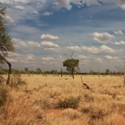 Kuniya Walk - Yulara