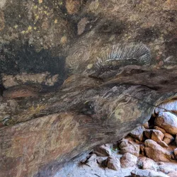 Kuniya Walk - Yulara